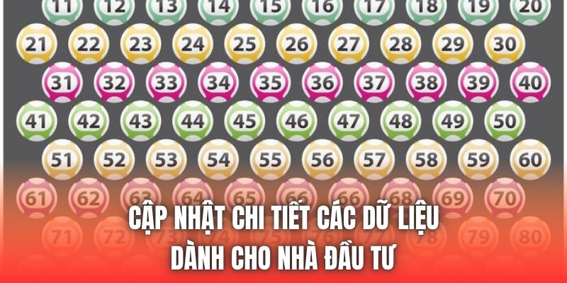 Cập nhật chi tiết các dữ liệu dành cho nhà đầu tư